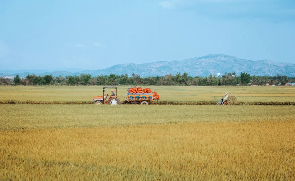Kho gạo của Lê Quốc Cường